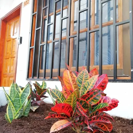 Apartamento Aguamarina - Diamantes 2 Los Cristianos (Tenerife)